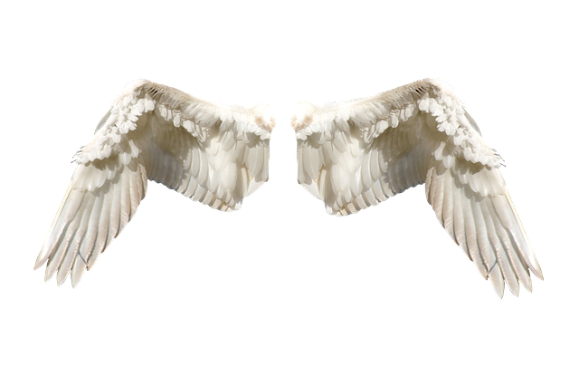 ANGELWINGS